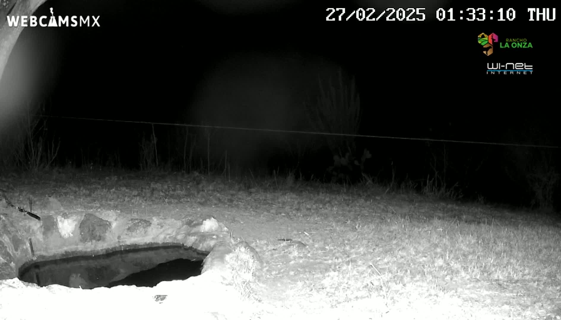 A nighttime, infrared image shows a small, dark pool of water in a stone basin, surrounded by sparse, dry-looking grass under a dark sky.