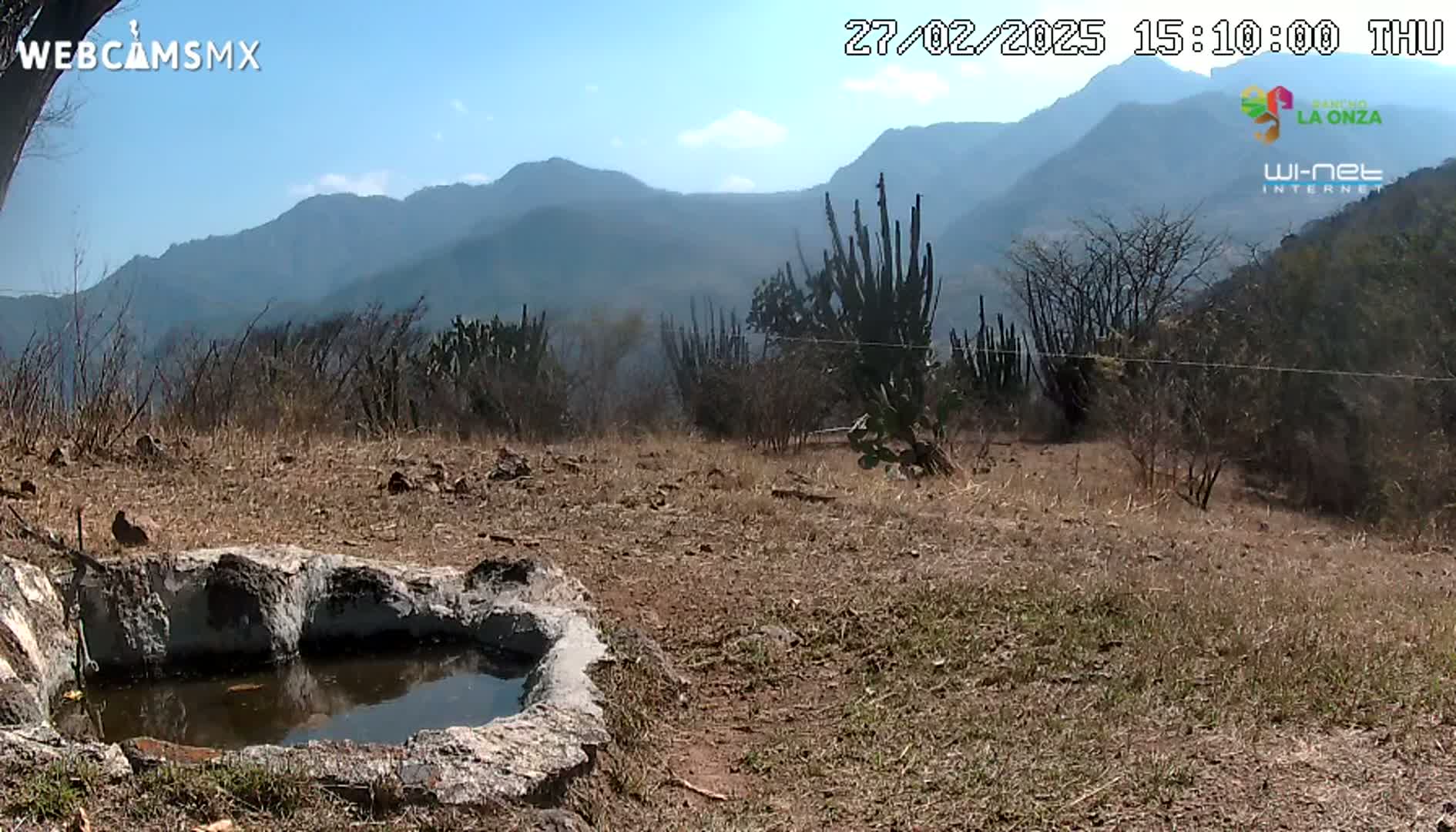 A stone basin containing water sits in a dry, grassy area overlooking a range of blue mountains under a clear sky.