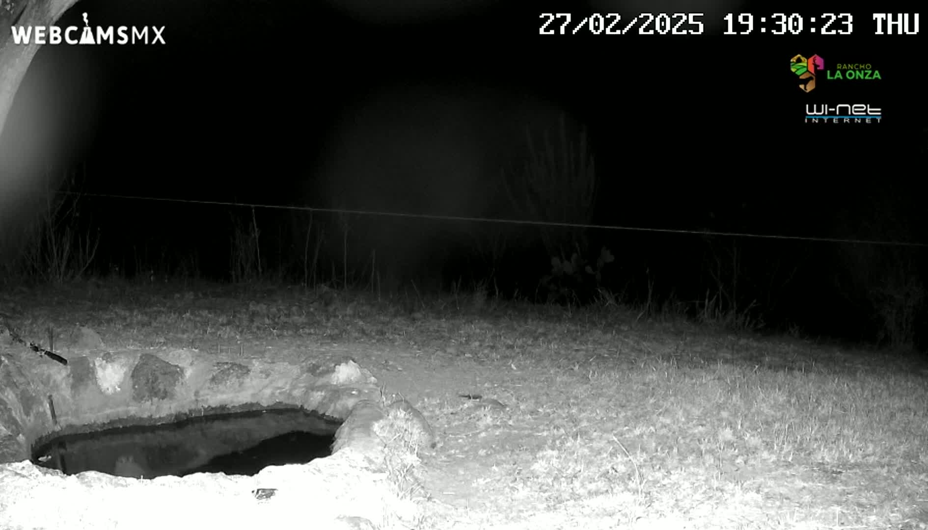 A nighttime infrared image shows a small, dark pool of water in a stone basin, surrounded by sparse, short grass under a dark sky.