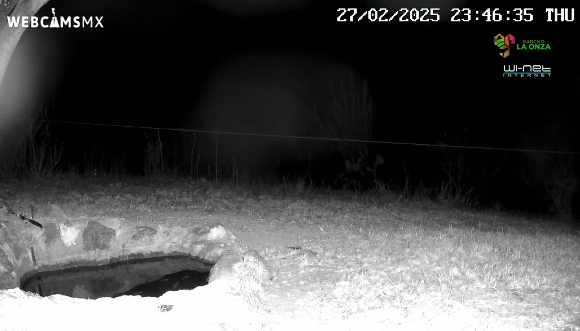 A nighttime, grayscale image shows a stone-lined water basin in a grassy area under a dark sky.