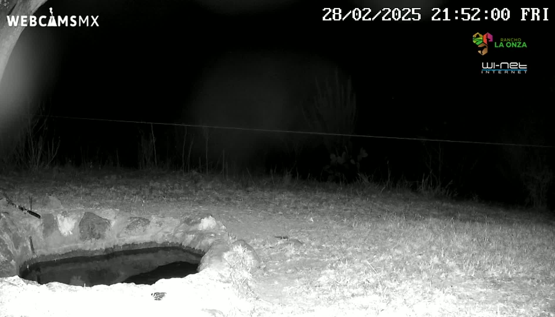 A nighttime, infrared image shows a small, shallow pool of water partially surrounded by rocks in a grassy area.