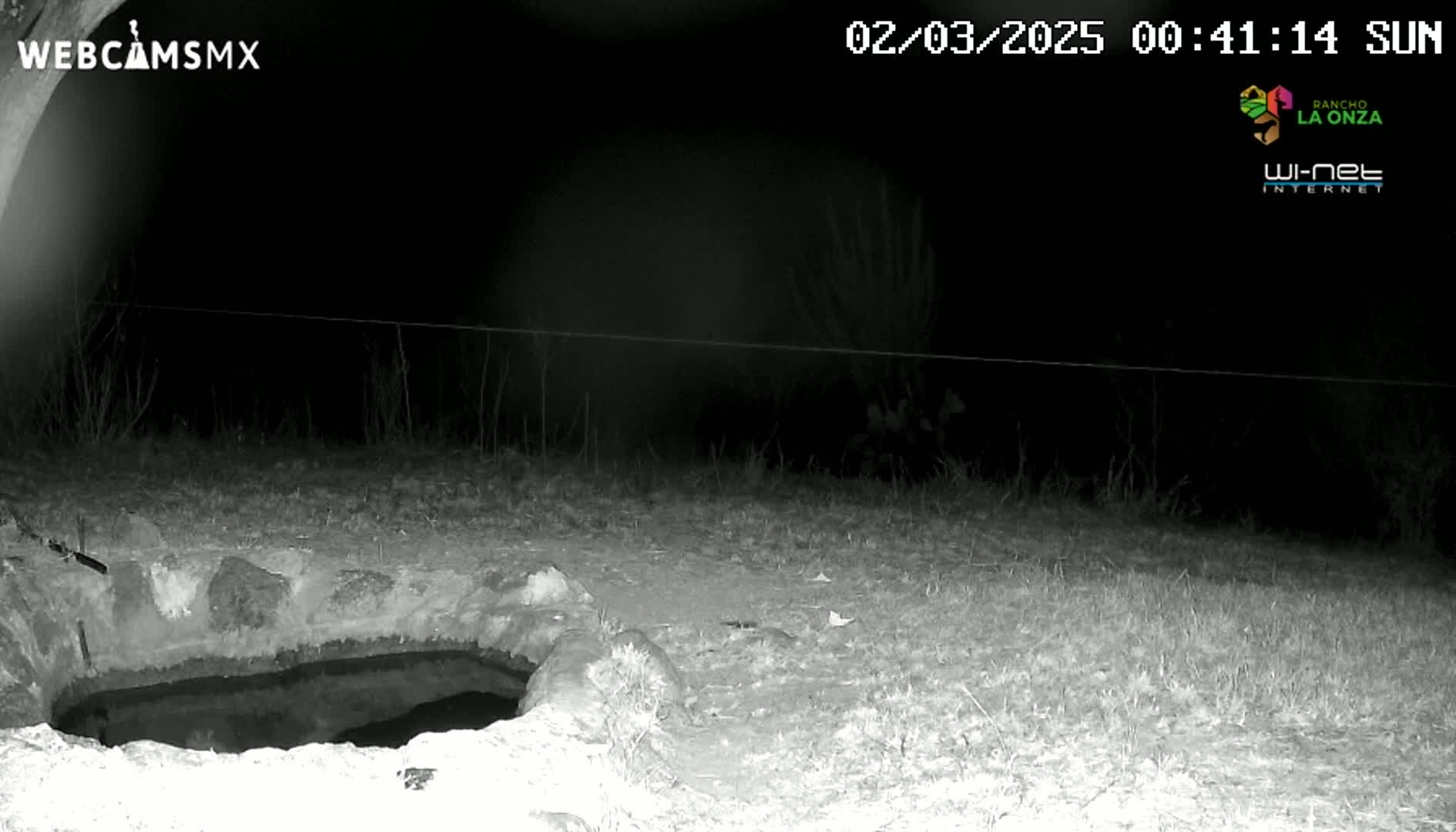 A nighttime, infrared image shows a stone-lined, water-filled hole in the ground, surrounded by sparse grass.