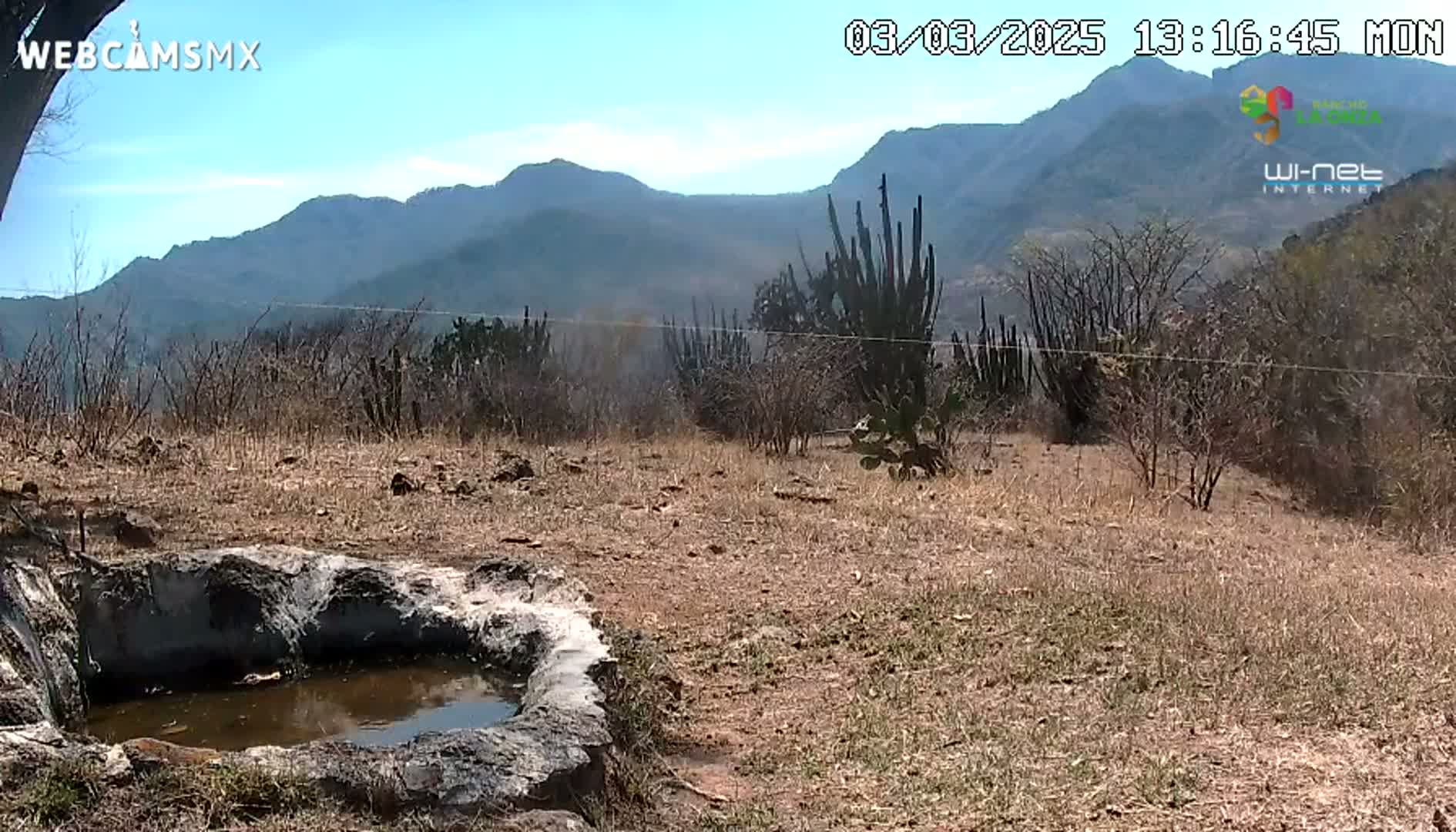 A stone basin containing still water sits in a dry, brown landscape under a clear blue sky, with mountains in the background and tall cacti interspersed among low, sparse vegetation.