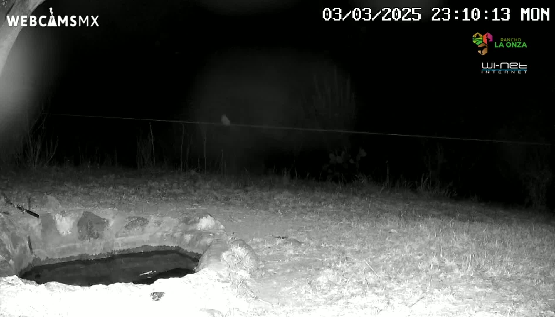 A nighttime, low-light image shows a small, dark pool of water surrounded by rocks and short grass, with a thin wire fence visible in the background.
