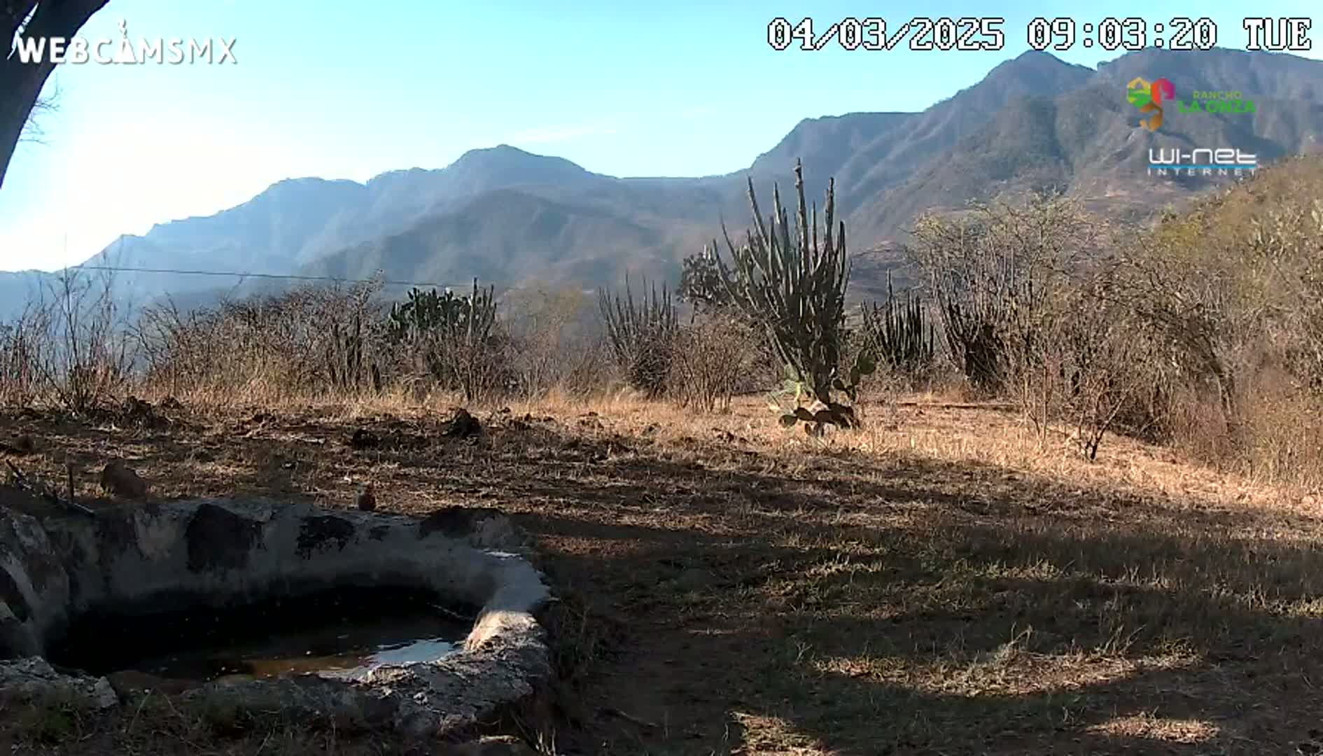 A small, stone water basin sits in dry, scrubby terrain under a sunny sky, with distant mountains visible in the background.