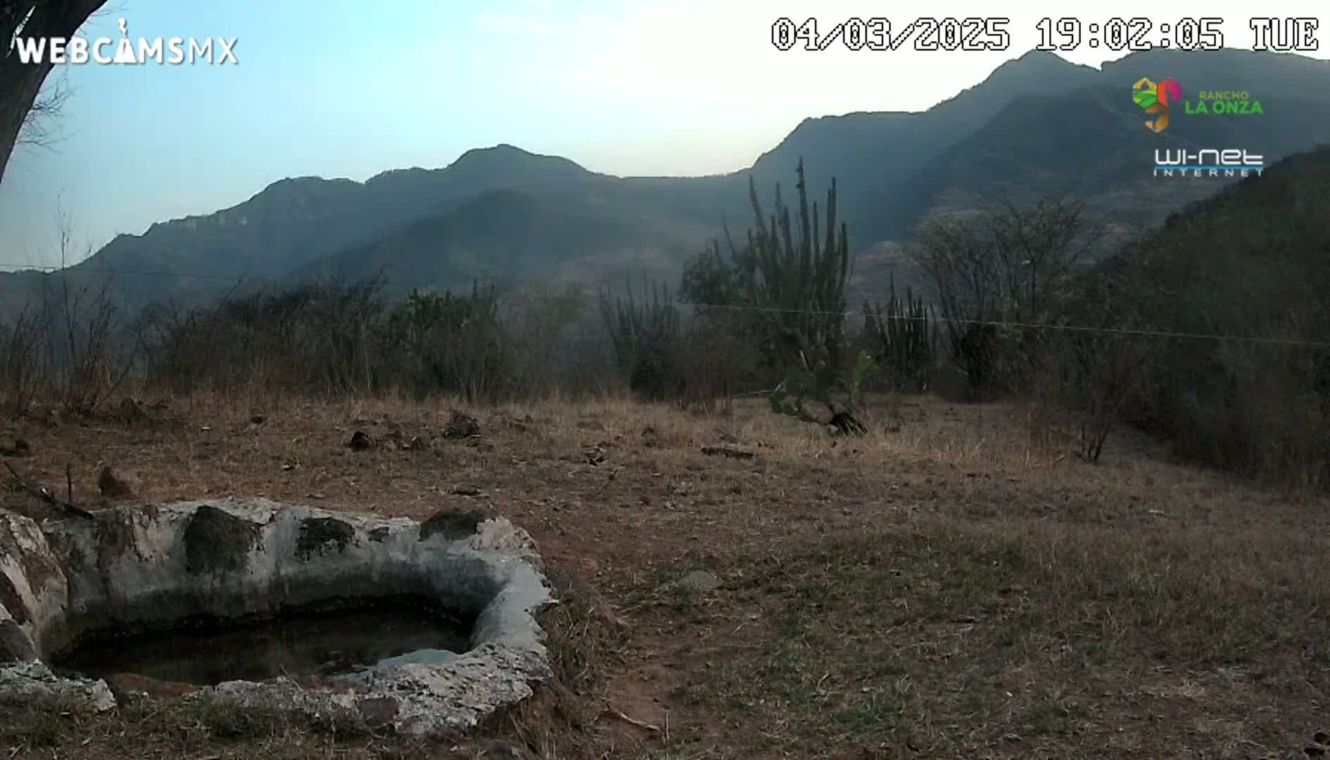 A stone water trough sits in a dry, scrubby field overlooking a range of hazy mountains under a clear, dusky sky.