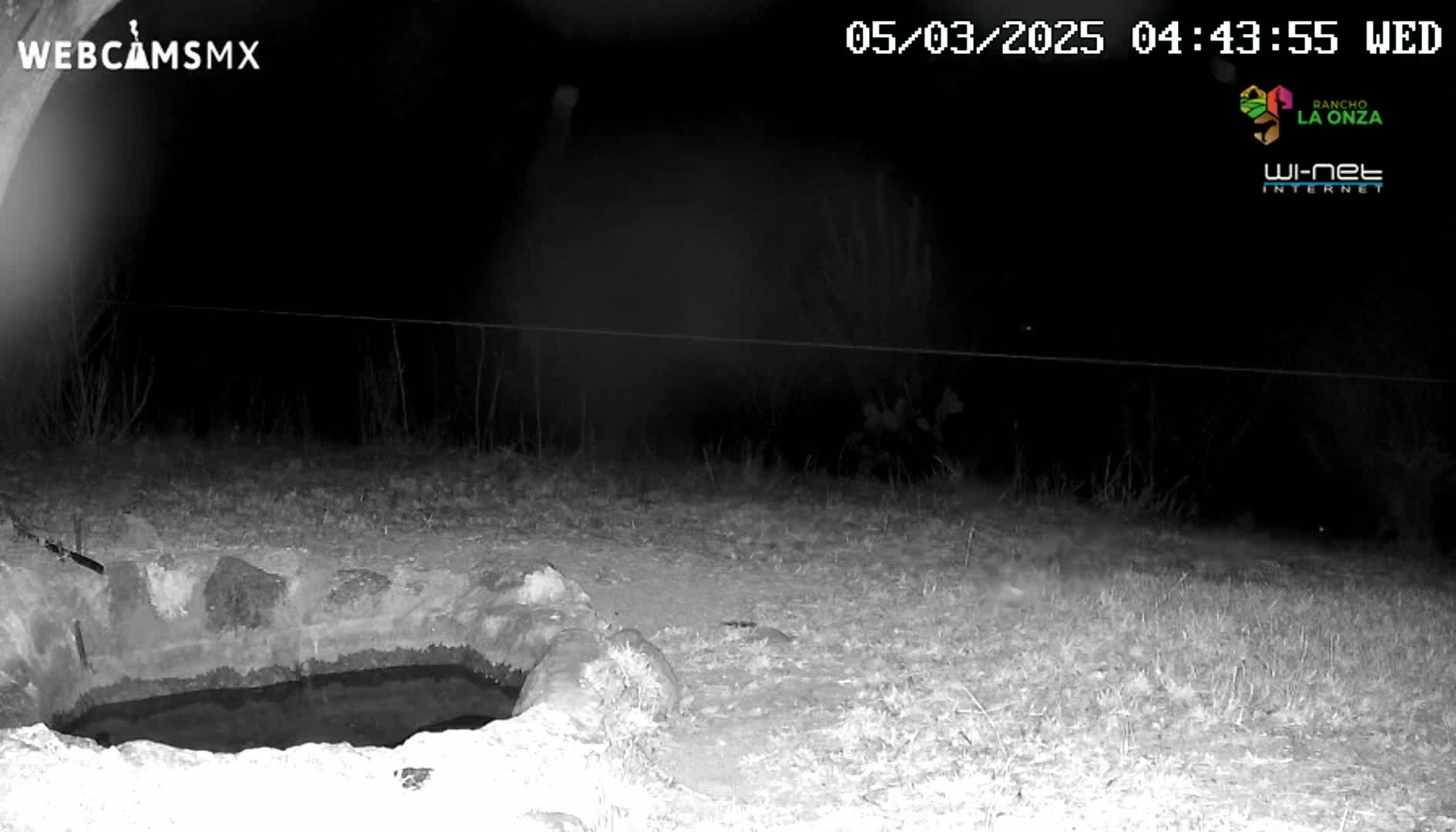 A nighttime, infrared image shows a small, dark pool of water nestled in a stone basin in a sparsely vegetated area.