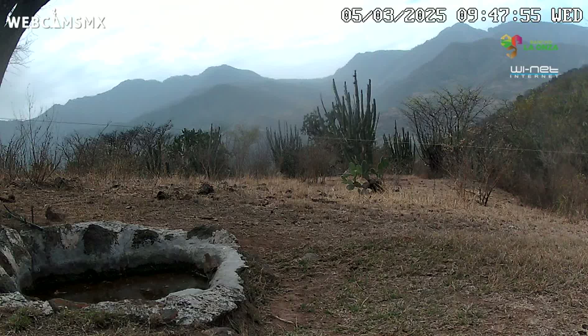 A stone basin containing water sits in a dry, brown landscape before a hazy mountain range under an overcast sky.