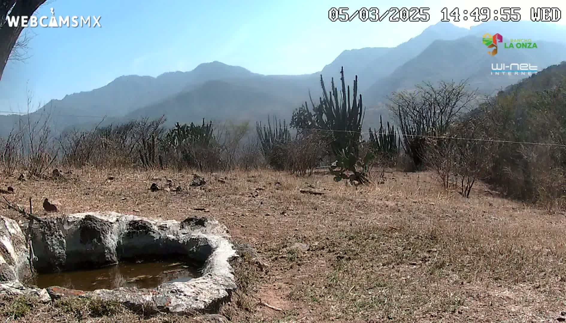 A stone basin containing water sits in a dry, brown landscape under a clear blue sky, with mountains in the background and cacti scattered throughout the foreground.