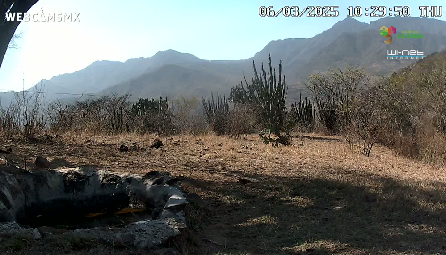 A dry, scrubby landscape with cacti and mountains in the background under a clear, sunny sky.