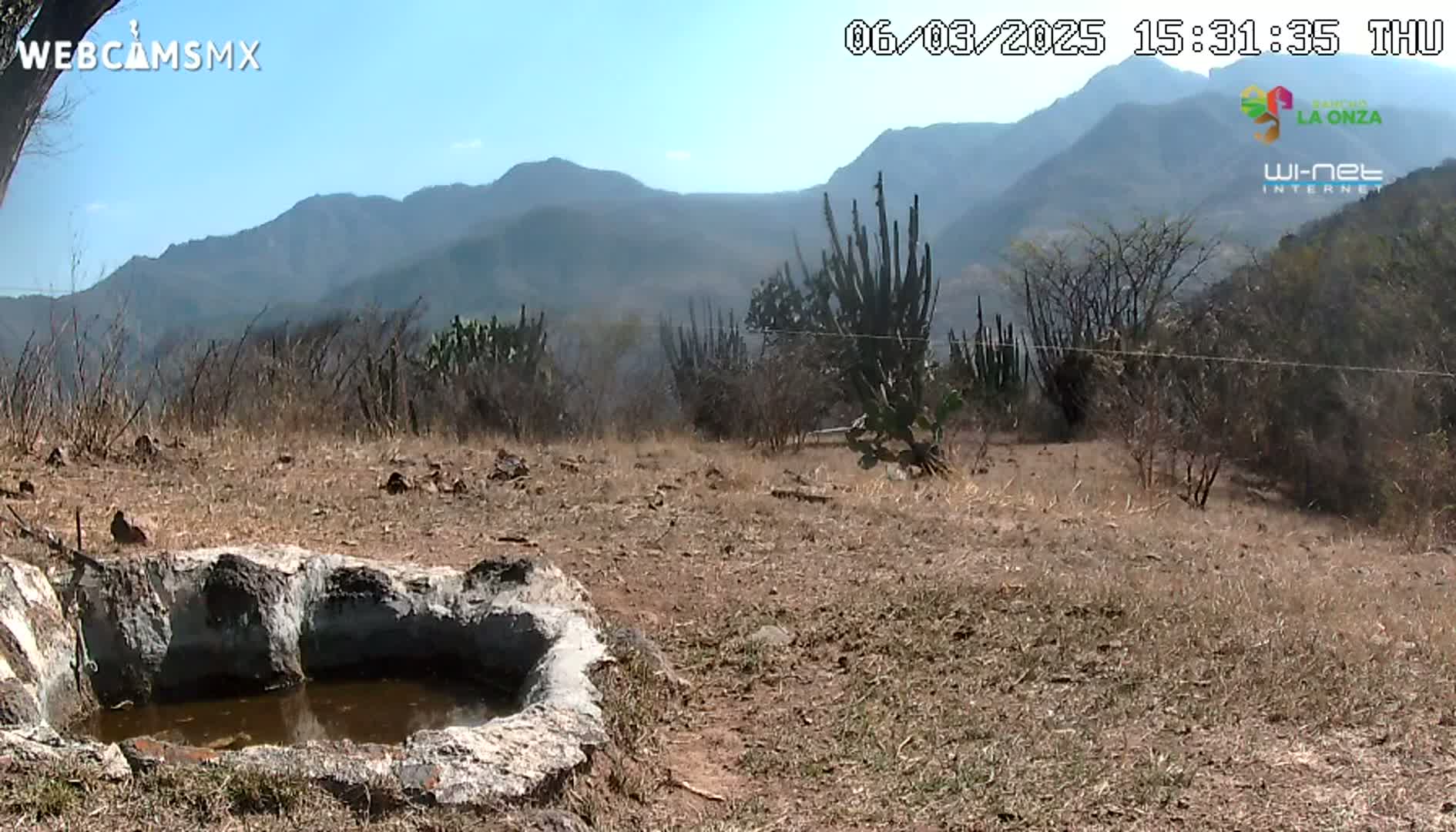 A stone water trough sits in a dry, arid landscape under a clear sky, with mountains in the background.