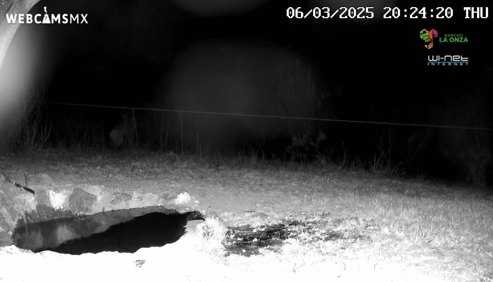 A nighttime, infrared image shows a dark, still body of water near a low stone wall, with sparse vegetation in the background under a dark sky.