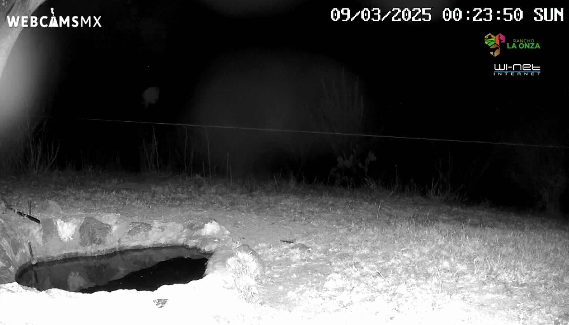 A nighttime, infrared image shows a shallow, dark pool of water in a stone basin, surrounded by sparse grass under a clear night sky.