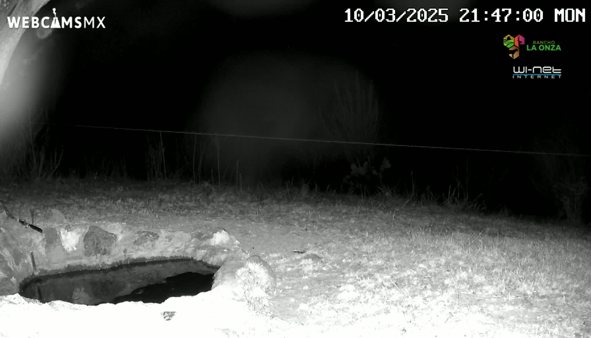 A nighttime, grayscale image shows a small, dark pool of water nestled within a stone basin in a grassy area under a dark sky.