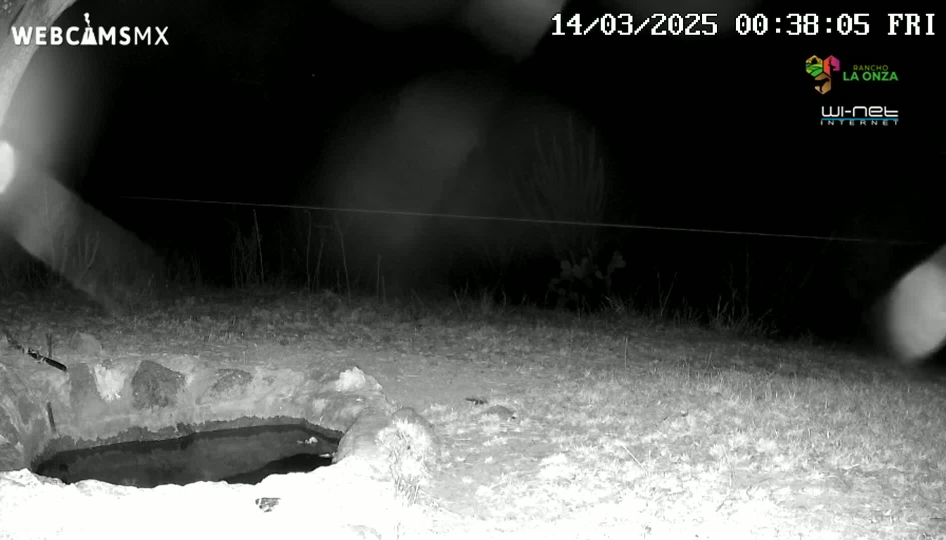 A nighttime, infrared image shows a small, dark pool of water next to some rocks in a grassy area.