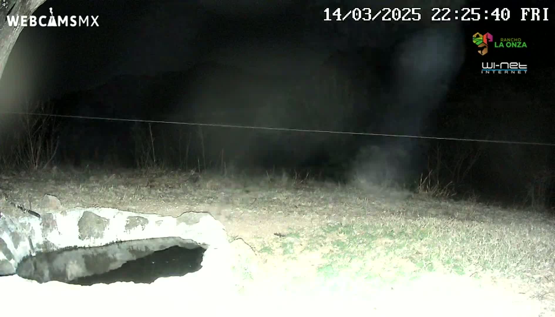 A nighttime, low-light view shows a stone basin partially filled with water, with a wispy cloud of smoke visible in the background.