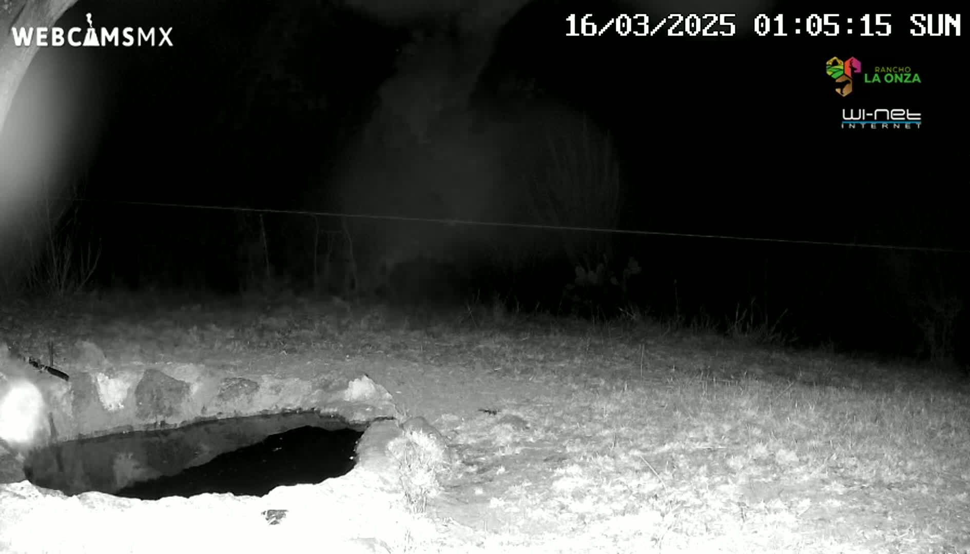 A nighttime, infrared image shows a small, dark pool of water in a stone basin, surrounded by dry, sparse ground cover.