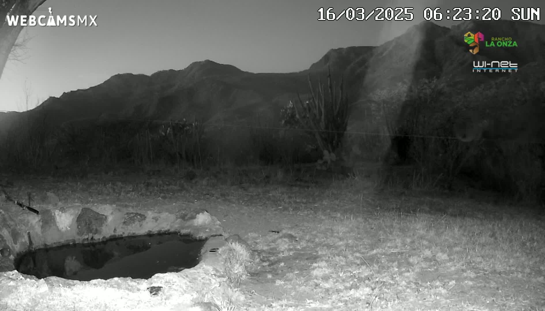 A nighttime, grayscale image shows a small, still body of water in a rocky basin, situated in front of sparse desert vegetation and a mountainous backdrop under a clear, dark sky.