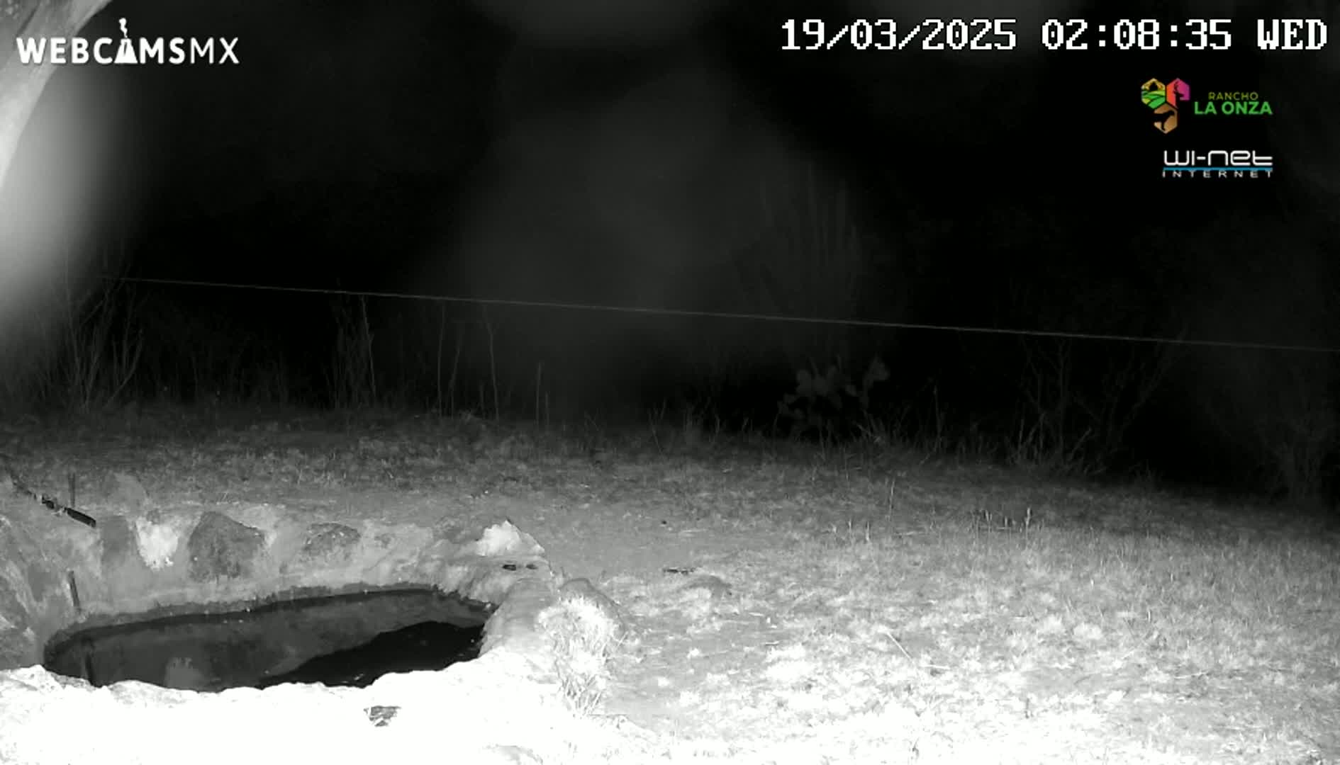 A nighttime infrared image shows a small, dark pool of water surrounded by a low stone wall in a grassy area.