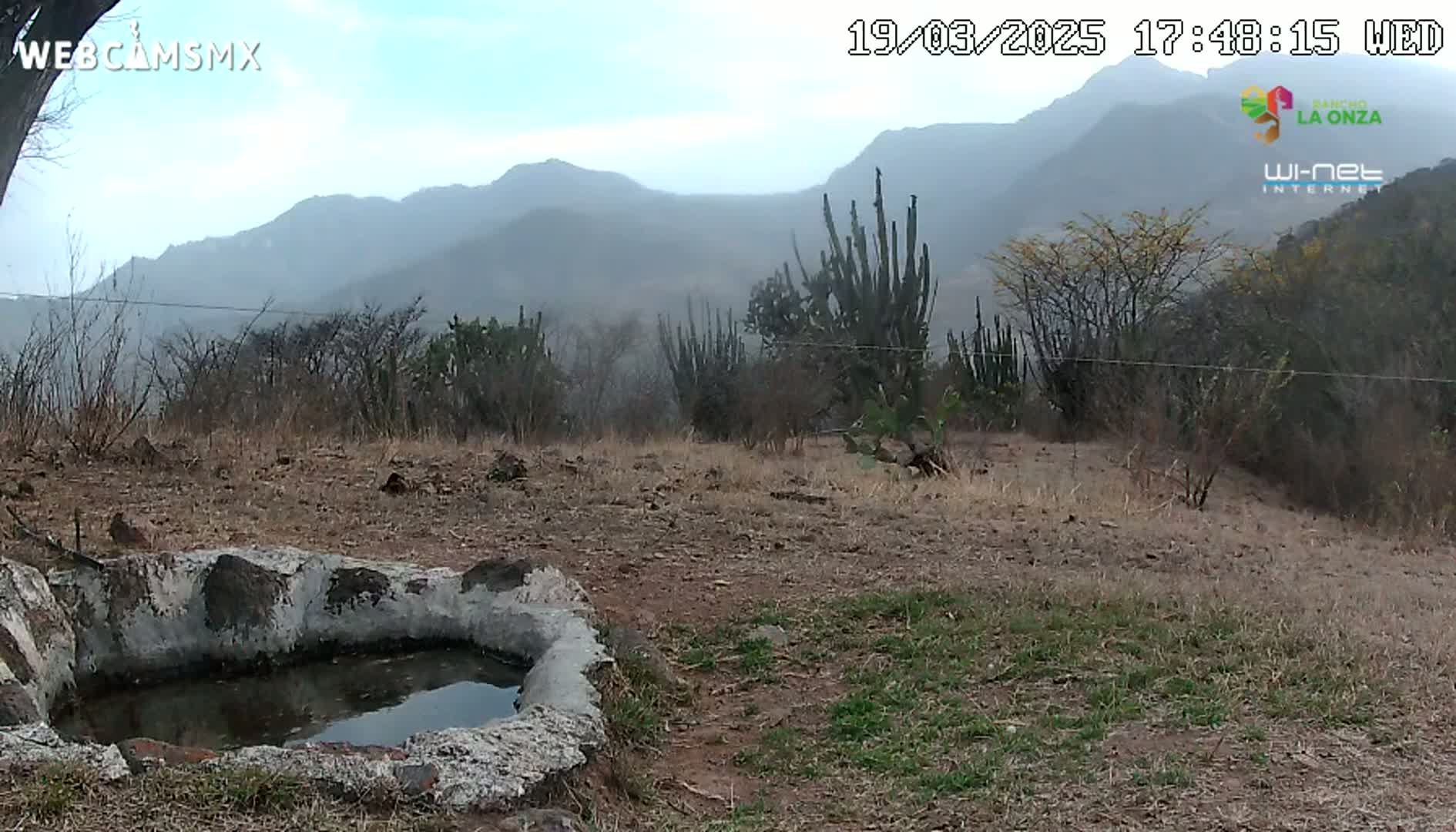 A hazy view of a dry, sparsely vegetated landscape with a small, stone water basin in the foreground and mountains in the background.