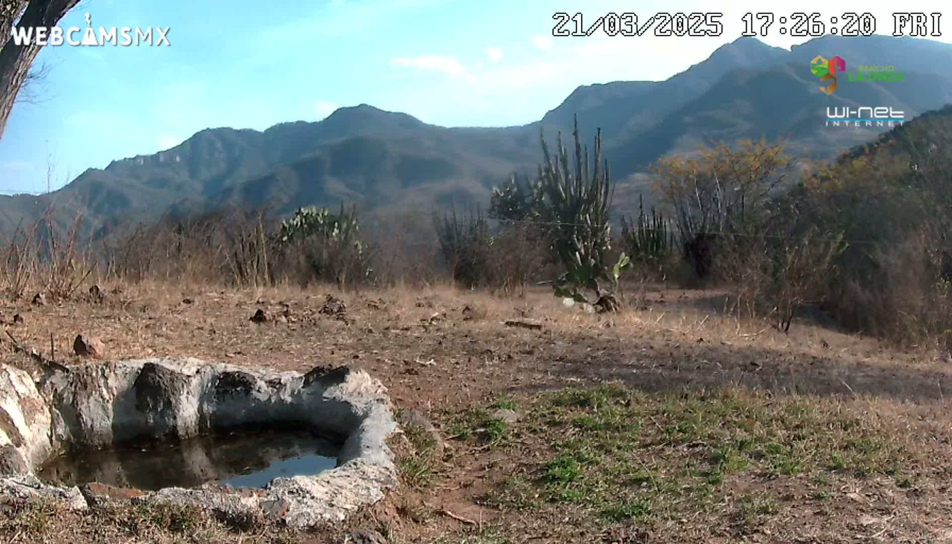 A small, stone water trough sits in a dry, brown landscape against a backdrop of distant, hazy mountains under a partly sunny sky.
