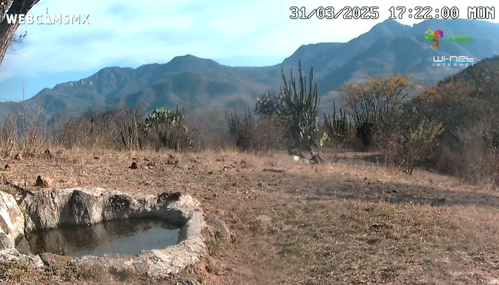 A small, stone-lined water basin sits in dry, brown grass in front of a scrubby landscape and a distant mountain range under a clear sky.