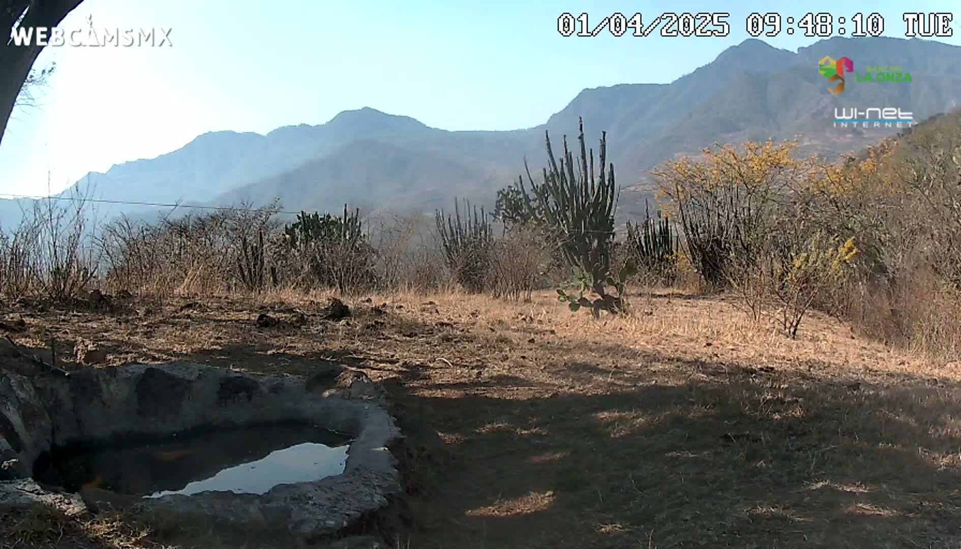 A small, stone-lined pool of water sits in dry, brown earth, overlooked by a hazy mountain range under a clear, sunny sky.