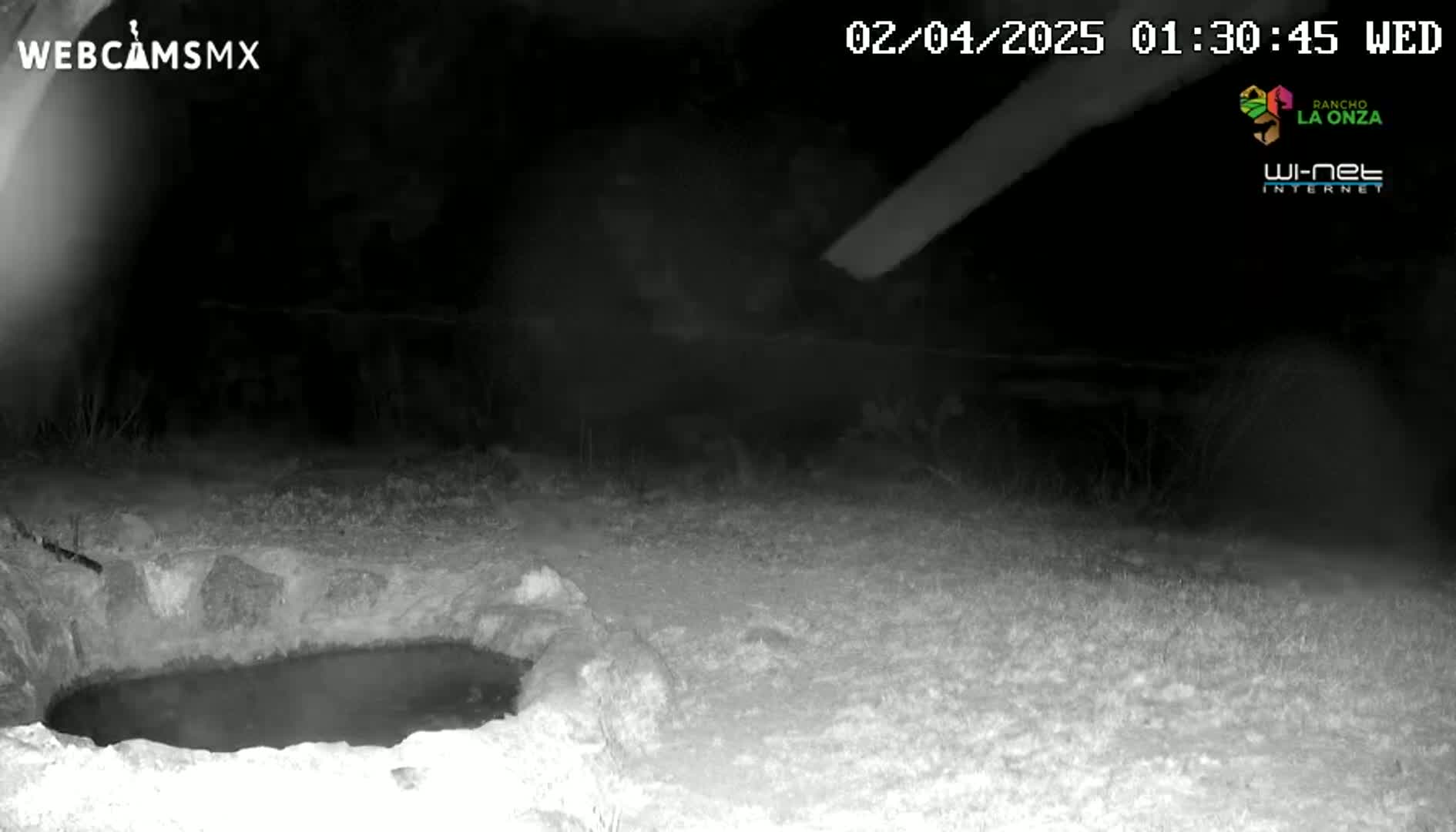 A nighttime, infrared image shows a small, dark pool of water in a stone basin, surrounded by snow-covered ground.
