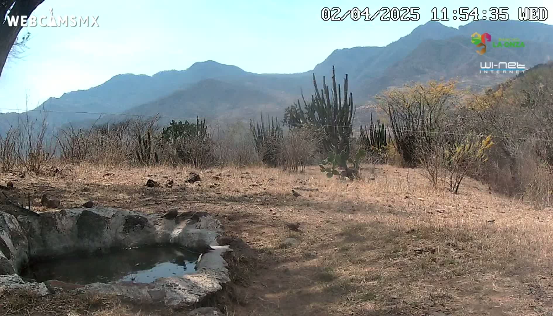 A small, stone-lined waterhole sits in a dry, brown landscape dotted with cacti and shrubs, overlooking distant mountains under a clear sky.