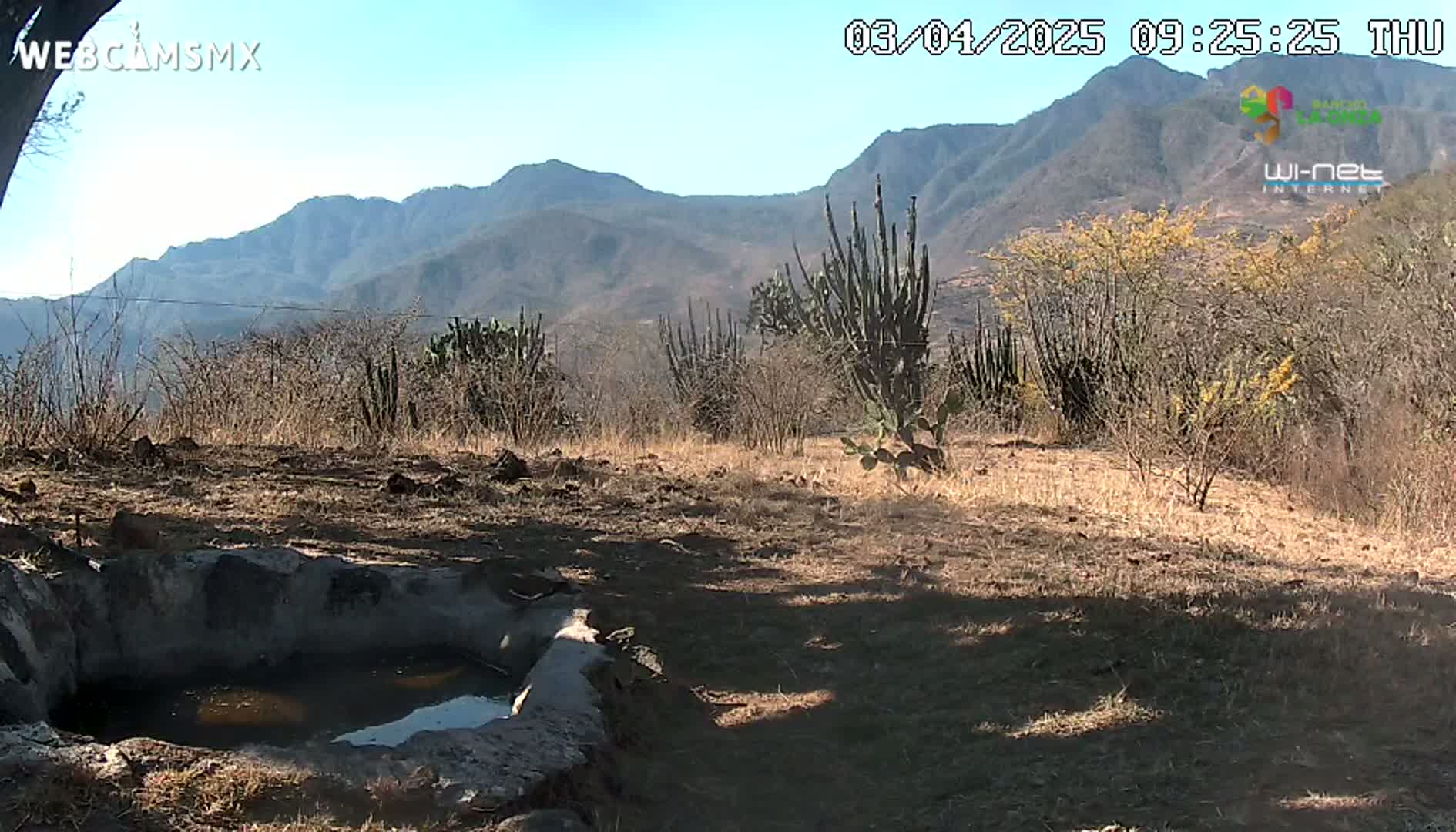A stone water trough sits in a dry, sunny landscape dotted with cacti and shrubs, overlooking a range of distant mountains under a clear blue sky.