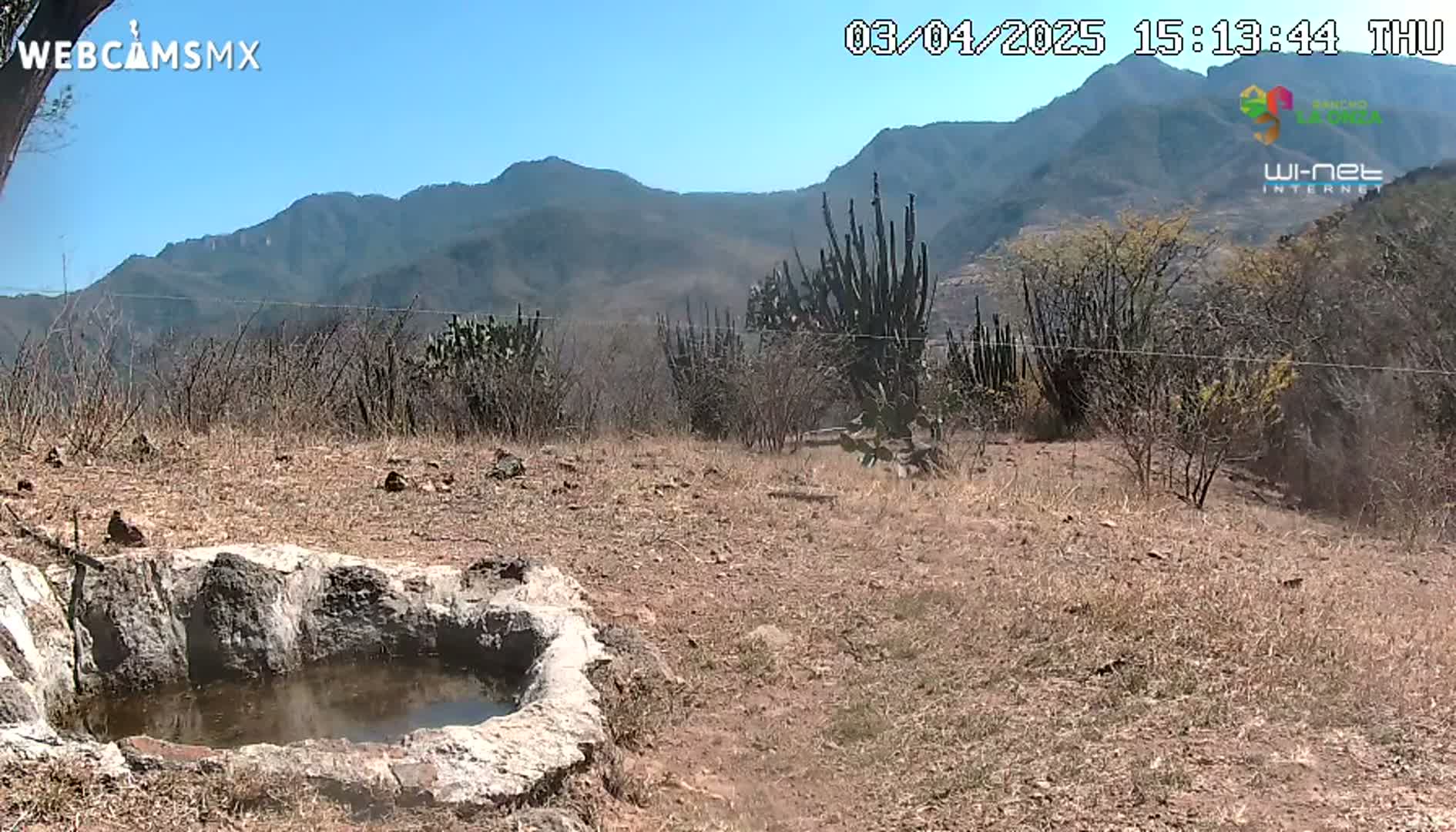 A stone basin containing water sits in a dry, brown landscape under a clear blue sky, with mountains in the background and cacti scattered throughout the foreground.