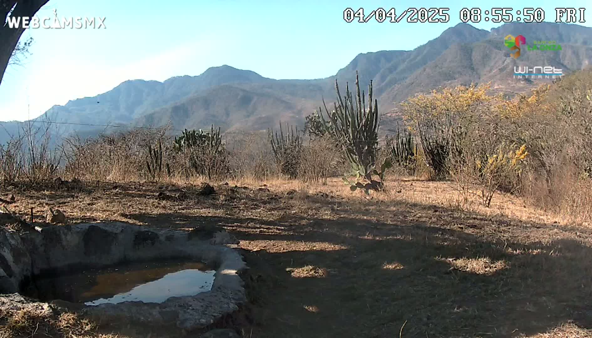 A small, shallow pool of water sits in a dry, scrubby landscape under a sunny sky, with mountains visible in the distance.