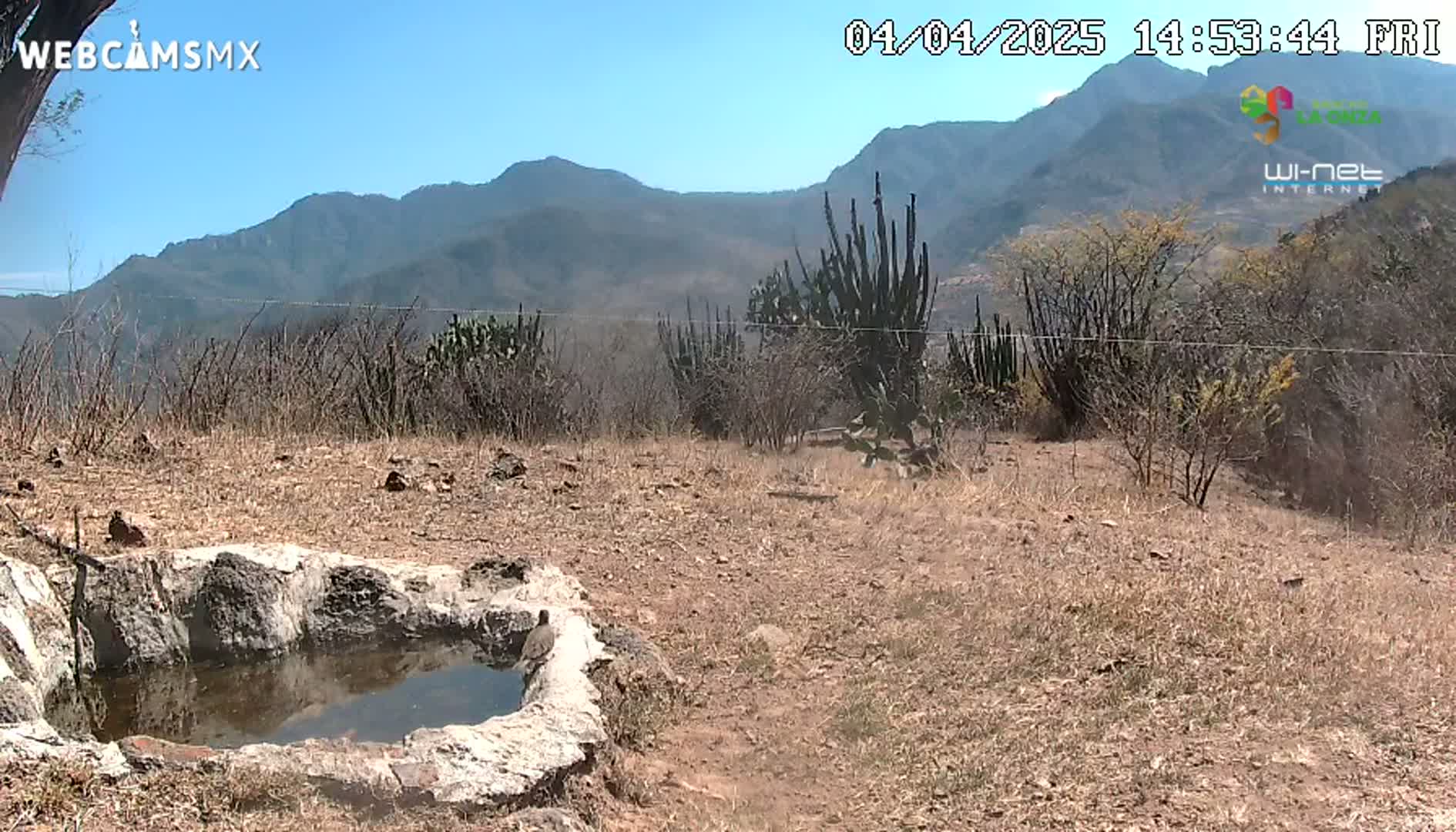 A stone water trough sits in a dry, sparsely vegetated landscape against a backdrop of mountains under a clear blue sky.
