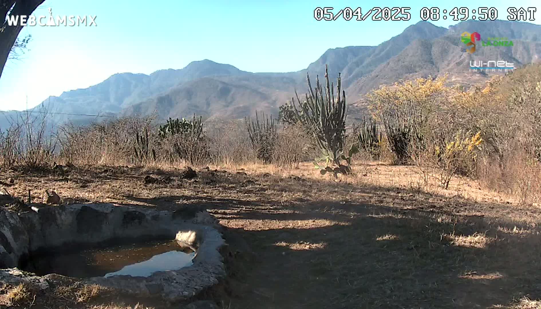 A small, stone water basin sits in a dry, desert-like landscape under a clear, sunny sky, with mountains in the background.