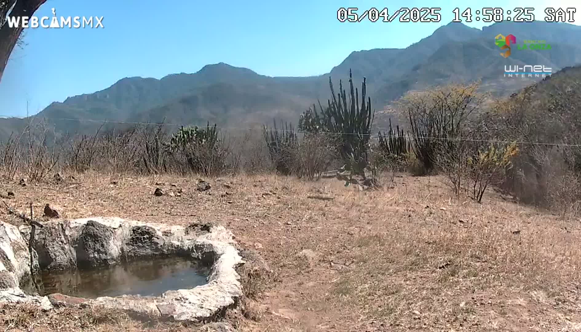 A stone basin containing water sits in a dry, brown landscape against a backdrop of mountains under a clear blue sky.