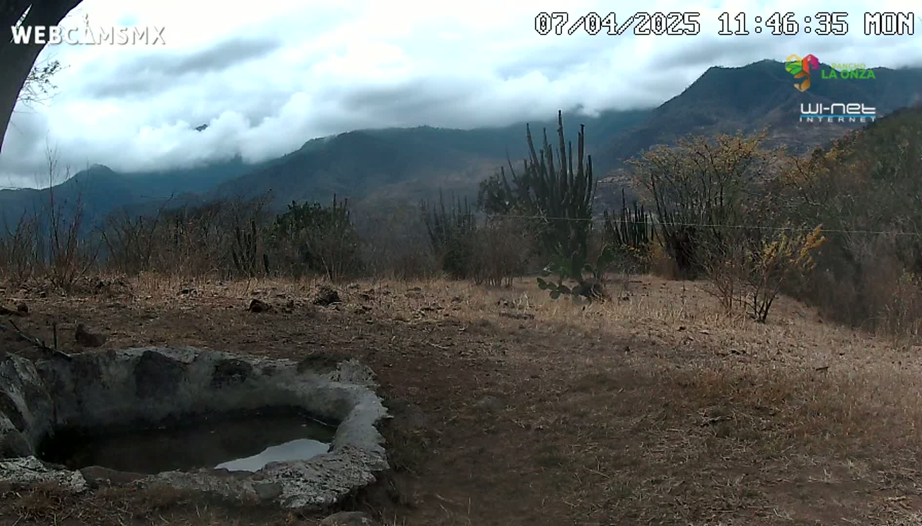 A stone basin containing water sits in a dry, scrubby landscape before a range of mountains partially obscured by clouds.
