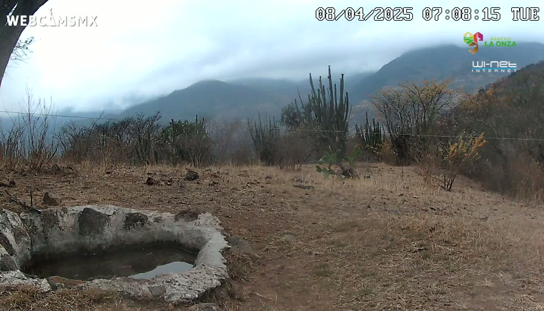 A stone basin containing water sits in a dry, brown field, overlooking a misty mountainous landscape with cacti and sparse vegetation under a cloudy sky.