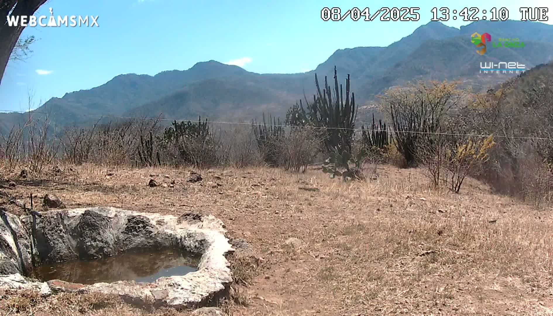 A stone basin containing a small amount of water sits in a dry, brown landscape overlooking a mountain range under a mostly sunny sky.