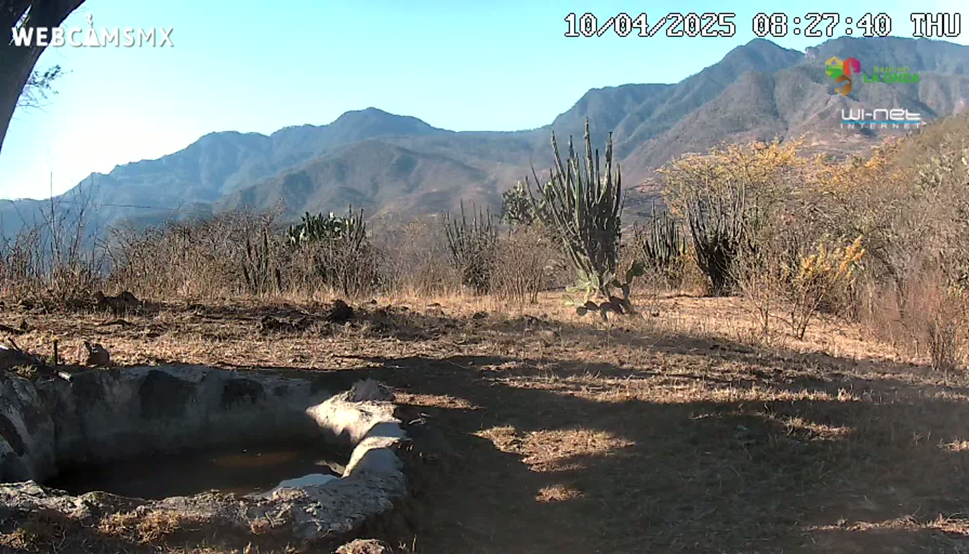 A small, cement water basin sits in a dry, scrubby landscape under a clear sky, with mountains in the background.