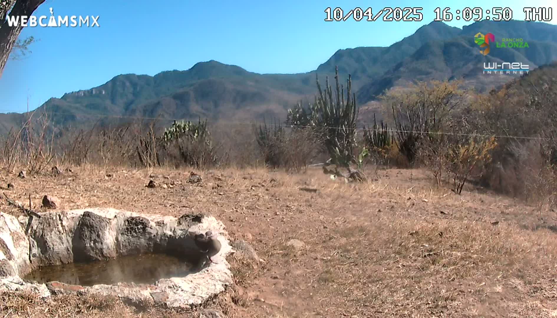A stone basin containing water sits in a dry, brown landscape overlooking a range of mountains under a clear blue sky.