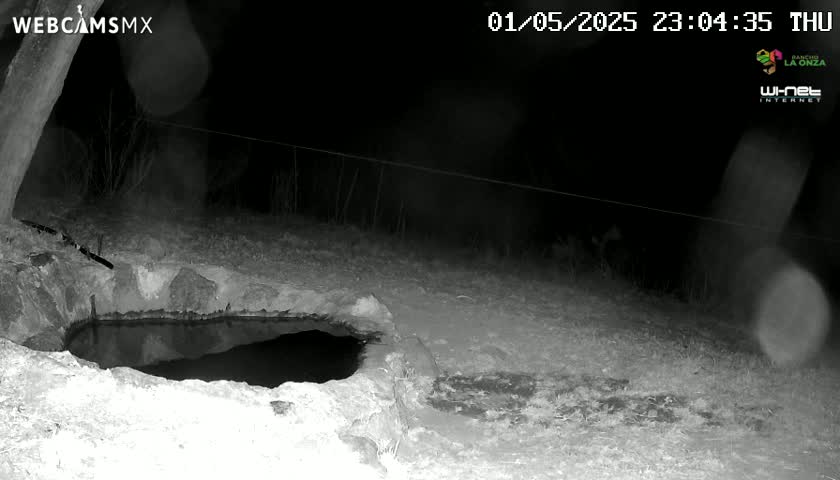 A nighttime, infrared image shows a small, dark pool of water nestled within a rocky depression, surrounded by snow-covered ground.