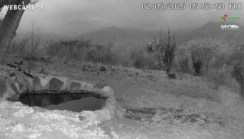 A small, stone-lined pool of water sits in the foreground of a grayscale image, overlooking a hilly landscape under an overcast sky.