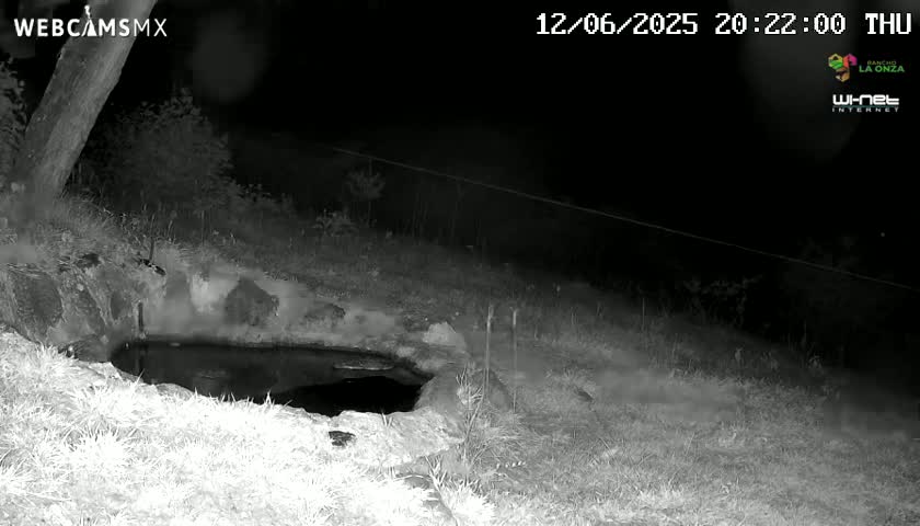 Rancho La Onza. Criadero Cattle Ranch Live Cam - San Luiz de la Paz, Guanajuato, Mexico