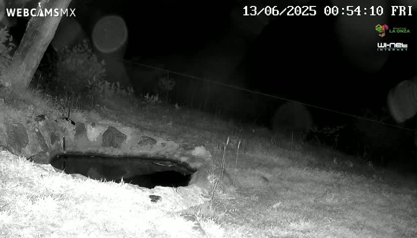 Rancho La Onza. Criadero Cattle Ranch Live Cam - San Luiz de la Paz, Guanajuato, Mexico