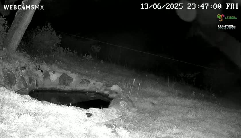 Rancho La Onza. Criadero Cattle Ranch Live Cam - San Luiz de la Paz, Guanajuato, Mexico