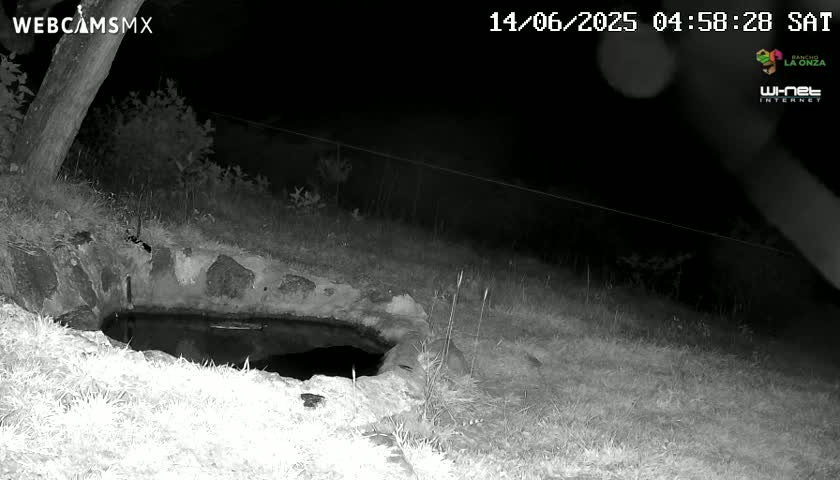 A nighttime infrared image shows a stone basin containing still water, situated on grassy ground near a tree under a dark sky.