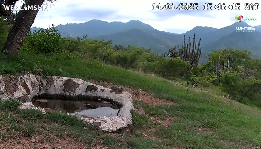 A stone basin containing still water sits on a grassy hillside overlooking a hazy, mountainous landscape.