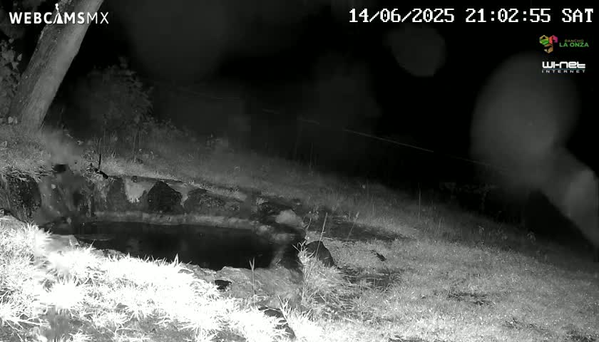 Rancho La Onza. Criadero Cattle Ranch Live Cam - San Luiz de la Paz, Guanajuato, Mexico