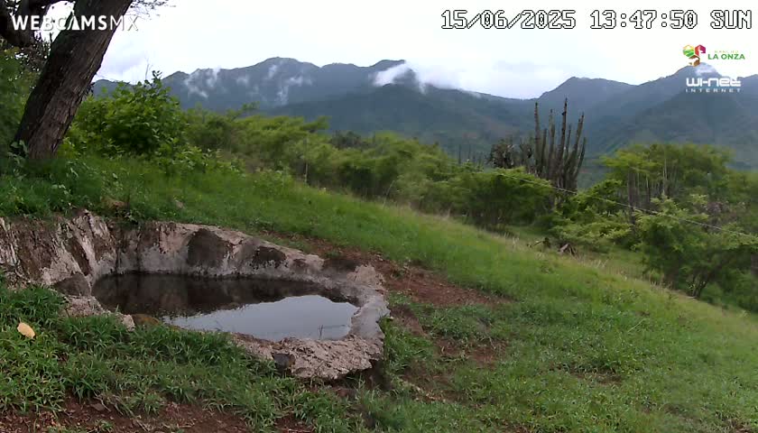 Rancho La Onza. Criadero Cattle Ranch Live Cam - San Luiz de la Paz, Guanajuato, Mexico