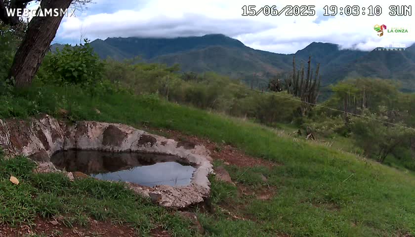 Rancho La Onza. Criadero Cattle Ranch Live Cam - San Luiz de la Paz, Guanajuato, Mexico